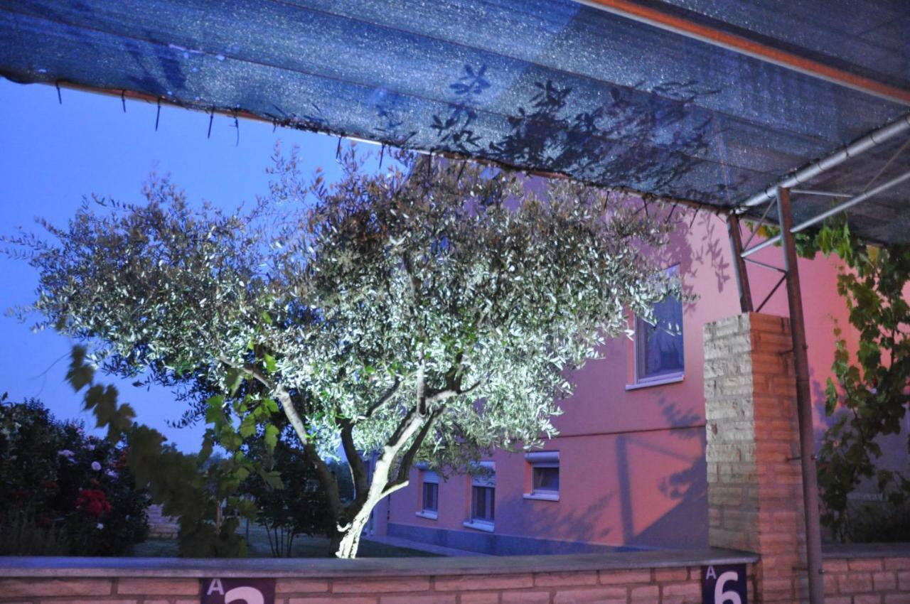 Apartments Rosa ウマグ エクステリア 写真